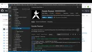 Karate Ran on Visual Studio Code