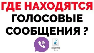 Где находятся и хранятся голосовые сообщения в Вайбере ?