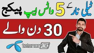 Telenor whatsapp packages monthly 2023-24