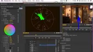 Color Correction Pt 4 The Vectorscope/Removing a Color Cast