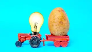 Potato Battery | Free Electricity Science Experiment