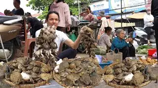 Catching wild frogs to sell after leaving the hospital, Vang Hoa