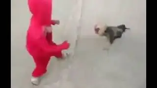 Boy vs hen funny fight