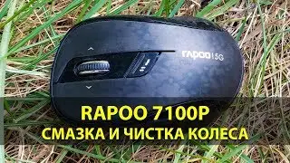 Смазка колесика и чистка беспроводной компьютерной мыши Rapoo 7100P | 5G