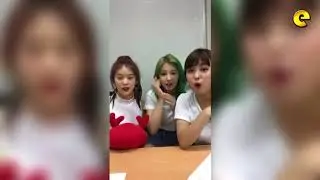 Momoland Members Hope To Meet Liza Soberano During Philippine Visit