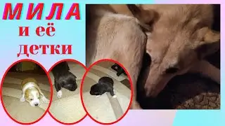 Бывает и такое, как Мила летела в самолёте