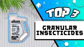 Best Granular Insecticides for a Pest-Free Home