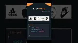 How to Resize Images in CSS for Responsive Design | #css #shorts #responsivedesign #coding #tips