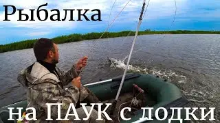 ПАУКИ ТРЕЩАЛИ ПО ШВАМ ОТ ЭТИХ САЗАНОВ! РЫБАЛКА НА ПАУК С ЛОДКИ ВОЗЛЕ СЕКРЕТНОГО МОСТА!