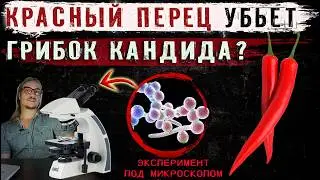 Как красный перец борется с агрессивной формой грибка Кандида?