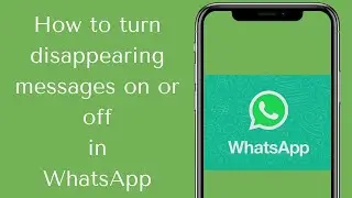 WhatsApp Message Disappearing