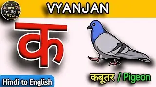 VYANJAN | क से कबूतर यानि Pigeon🕊 | Hindi to English✌️ | Hindi Alphabet | English Meaning | WATRstar