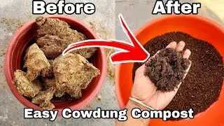 How to make compost at home for garden /  Pot (Compost Special)