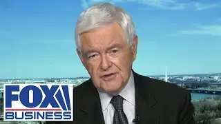 Newt Gingrich: This generation is growing up brainwashed