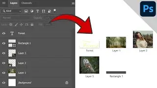 Export Layers to Files (2 methods) | PHOTOSHOP BASICS -  TIPS & TRICKS