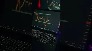 The Ultimate Forex Trading Hack____#trading #cryptotrading #forex #digitalcurrencytrading #trader