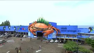 Pesona Lamongan (cinematic video)