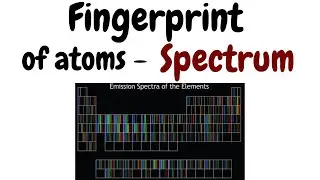 Fingerprint of Atoms - Emission Spectrum | Basics of Physics - 17 | Kartikey Pandey