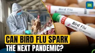 Can Bird Flu Spark The Next Pandemic? Here Is What Doctors Say Regarding The Surge In H5N1 Incidents