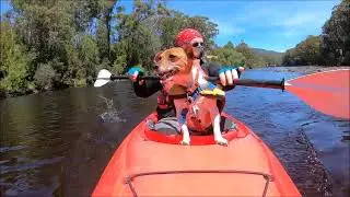 Kayaking Huon River with Molly 647 17/ 1 23 /50cm