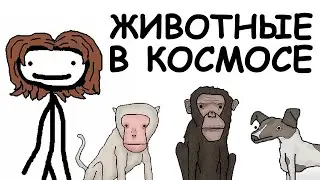 Животные в Космосе | Академия Сэма Онеллы | Русский Дубляж