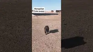 Mongolia