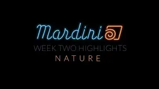 Mardini 2023 Highlights | Week 2 | Nature