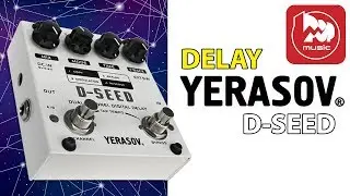 YERASOV D-SEED Популярный и доступный гитарный DELAY