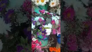 🌸 ¿CUÁNTO SALEN LAS FLORES PARA EL 1 DE NOVIEMBRE? ❤