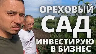 Бизнес идея  орехи длинные деньги Ореховый сад инвестиция в агро