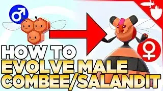 How To Evolve Male Combee & Salandit in Pokemon Sword and Shield