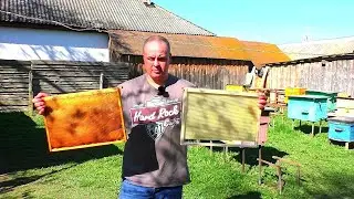 РАСШИРЕНИЕ ПЧЕЛ ВОЩИНОЙ, СУШЮ ! Куда поставить вощину? Когда ставить вощину?