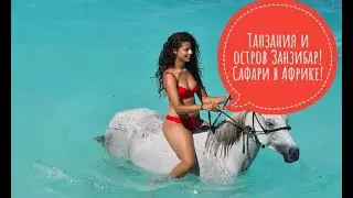 Туры на остров Занзибар (Танзания). Сафари в Африке