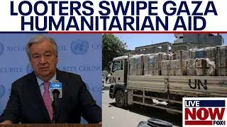 Israel-Hamas war: Looters steal Gaza humanitarian aid, UN chief says | LiveNOW from FOX