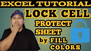 Learn How To Lock Cell And Protect Sheet By Fill Colors