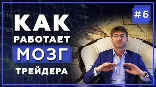 Психология Трейдера. Как работает Мозг человека в трейдинге?! Доступно о сложном.