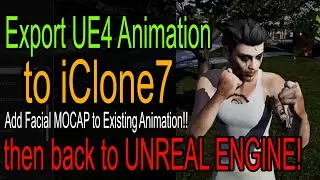 Export UE4 Animation to iClone7 add Face Mocap to existing Animation!