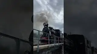 Steam narrow-gauge train in Latvia! 🇱🇻