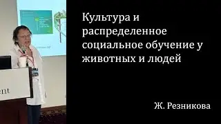 Культура и распределенное социальное обучение у животных и людей