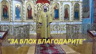 За блох благодарите