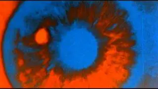 God told me to (Larry Cohen, 1976) Trailer