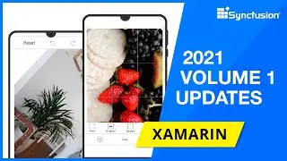 Syncfusion Xamarin Updates—2021 Volume 1