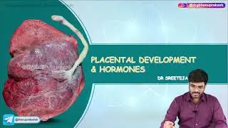 Placental Development & Hormones : Obstetrics and Gynaecology Lecture