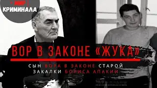 Сын вора в законе старой закалки Бориса Апакии| Вор в законе «Жука»