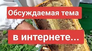 Обсуждаемая тема в интернете