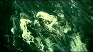 Копия видео 