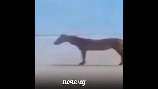 Играю в Доту(●'◡'●)