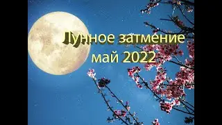 Двойной удар: как пережить «цветочное» полнолуние и лунное затмение в мае 2022 года.