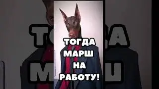Утром не хочется идти на работу? Марш..  #юмор #сарказм #прикол #доберман