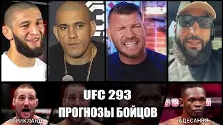 Прогнозы бойцов UFC на бой Исраэля Адесаньи и Шона Стрикланда | UFC 293